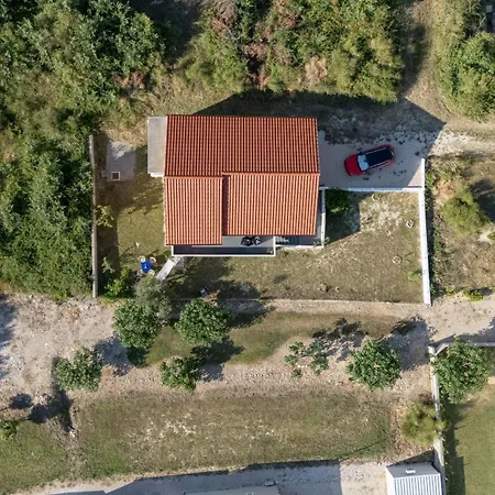 House Adriatic Blue Dream