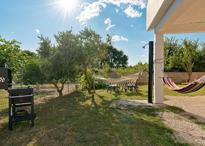 House Adriatic Blue Dream