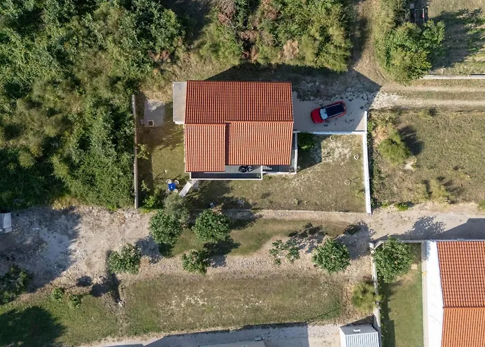 House Adriatic Blue Dream